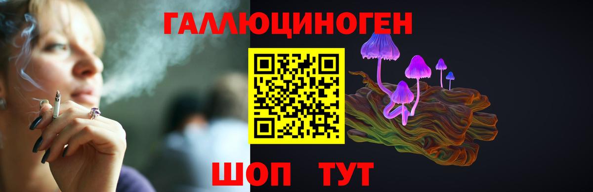 Курчалой  Галлюциногенные грибы ЛСД  Вход с VPN 
