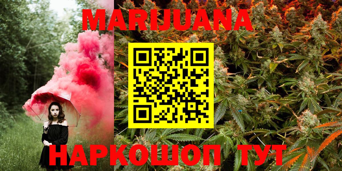 Курчалой  Бошки марихуана тримм  Вход с VPN  Бошки марихуана Amnesia 